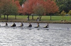 Rochester Men s Club 8  7 
